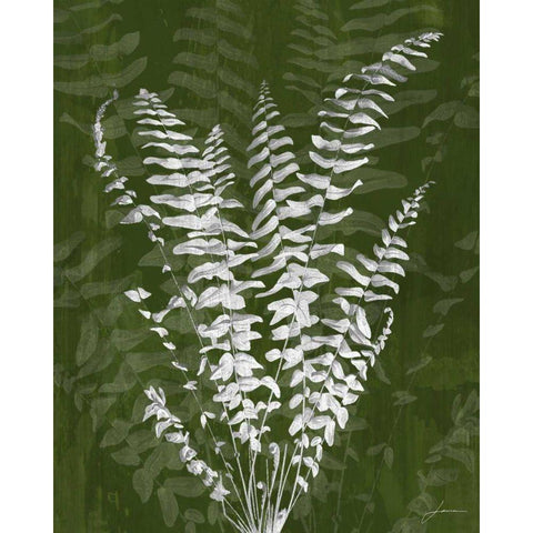 Jewel Ferns I White Modern Wood Framed Art Print by Burghardt, James