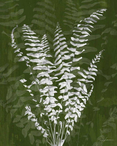 Jewel Ferns I White Modern Wood Framed Art Print with Double Matting by Burghardt, James