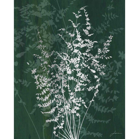 Jewel Ferns II White Modern Wood Framed Art Print by Burghardt, James