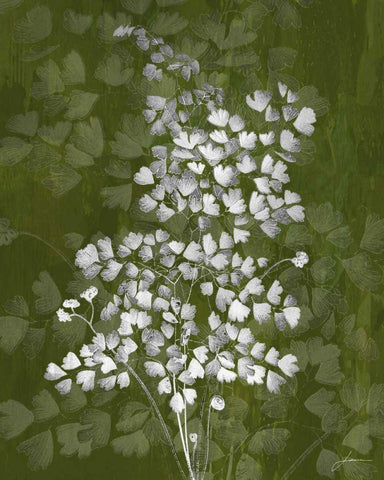 Jewel Ferns III Black Ornate Wood Framed Art Print with Double Matting by Burghardt, James