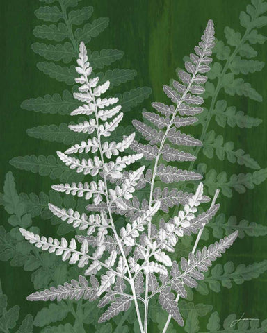 Jewel Ferns IV White Modern Wood Framed Art Print with Double Matting by Burghardt, James