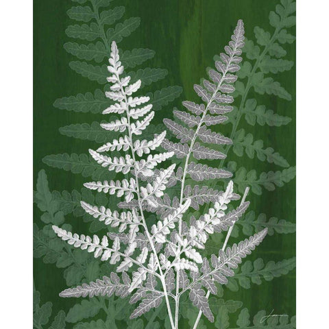 Jewel Ferns IV Black Modern Wood Framed Art Print with Double Matting by Burghardt, James