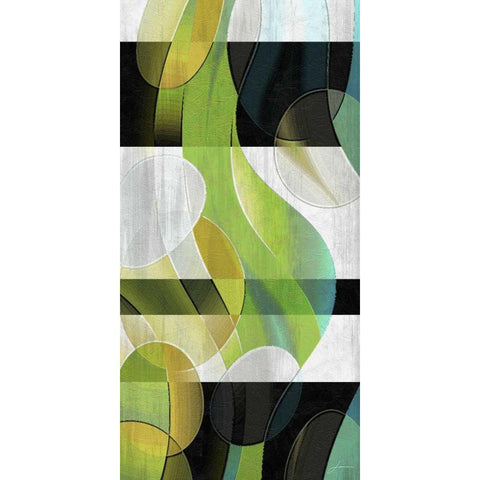 Sea Life Panel II Black Modern Wood Framed Art Print with Double Matting by Burghardt, James