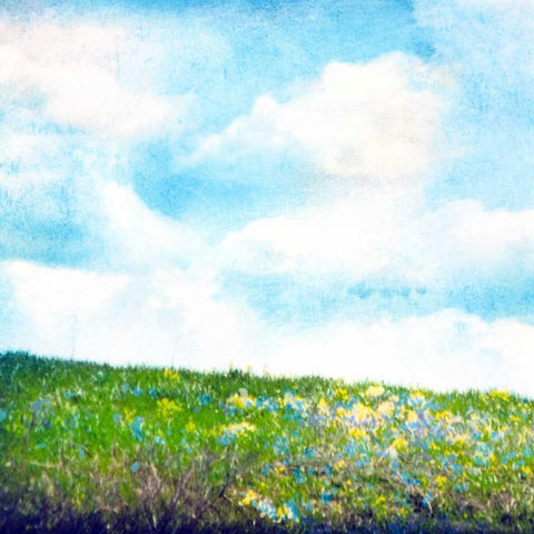 Bright Field I White Modern Wood Framed Art Print by Blixt, Ingrid