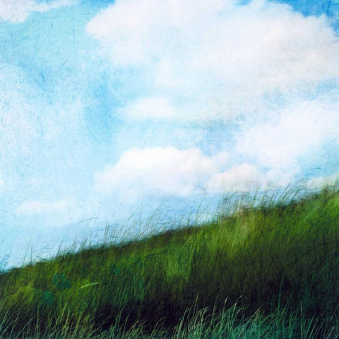 Bright Field II Black Ornate Wood Framed Art Print with Double Matting by Blixt, Ingrid