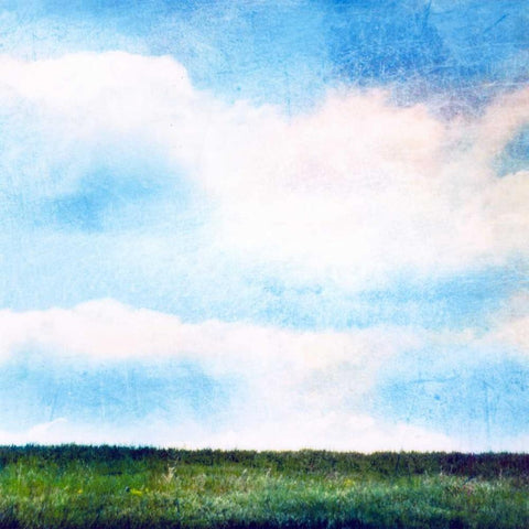 Bright Field III Black Modern Wood Framed Art Print by Blixt, Ingrid