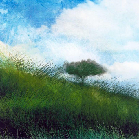 Bright Field IV Black Modern Wood Framed Art Print by Blixt, Ingrid