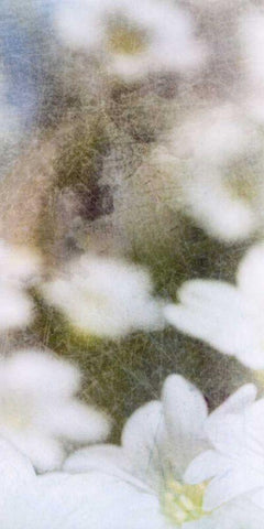 Looking Glass II White Modern Wood Framed Art Print with Double Matting by Blixt, Ingrid