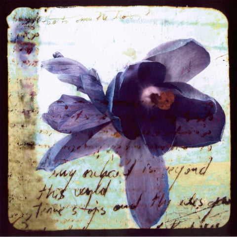 Blooming Purple II White Modern Wood Framed Art Print with Double Matting by Open Journey