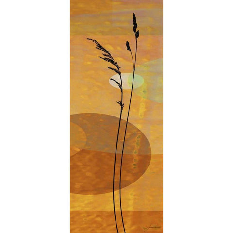 Sunset Duet I Black Modern Wood Framed Art Print by Burghardt, James