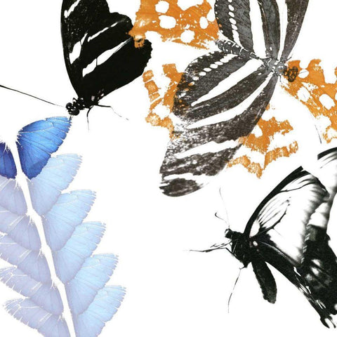 Butterfly Inflorescence II White Modern Wood Framed Art Print by Project, A.