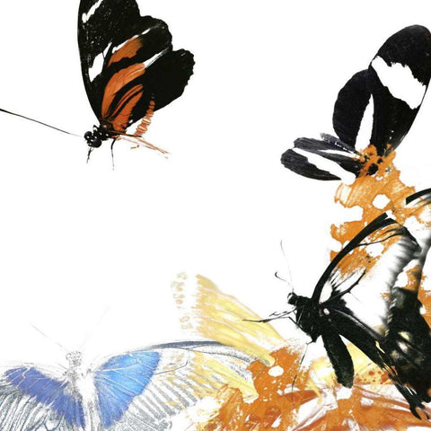 Butterfly Inflorescence IV White Modern Wood Framed Art Print with Double Matting by Project, A.