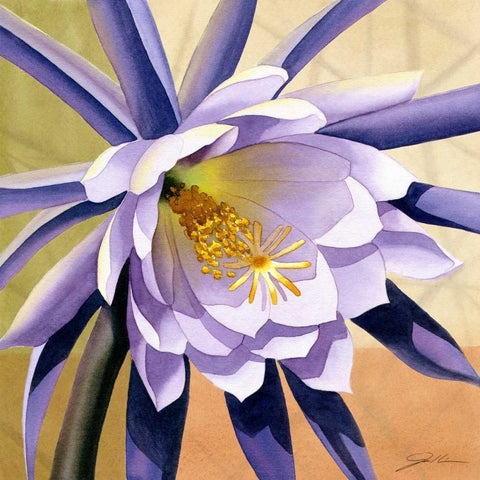 Desert Bloom II White Modern Wood Framed Art Print by Higby, Jason