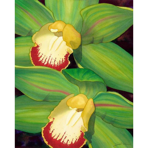 Lime Orchid I White Modern Wood Framed Art Print by Higby, Jason
