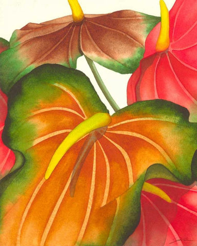 Anthuria I Black Ornate Wood Framed Art Print with Double Matting by Higby, Jason