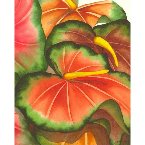 Anthuria II Black Modern Wood Framed Art Print by Higby, Jason