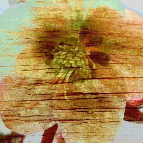 Petrified Stem II Gold Ornate Wood Framed Art Print with Double Matting by Harrington, Danielle