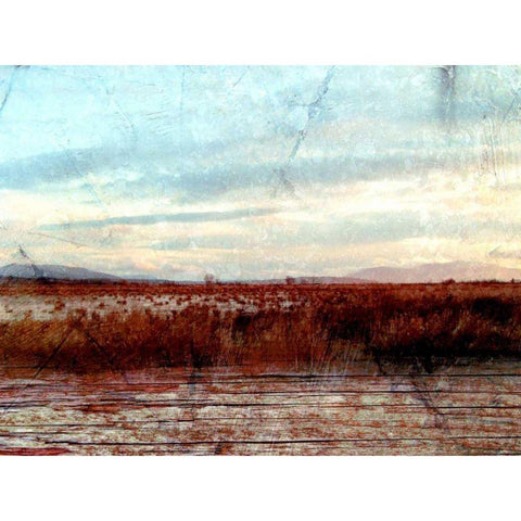 Morning Calm I Black Modern Wood Framed Art Print with Double Matting by Harrington, Danielle