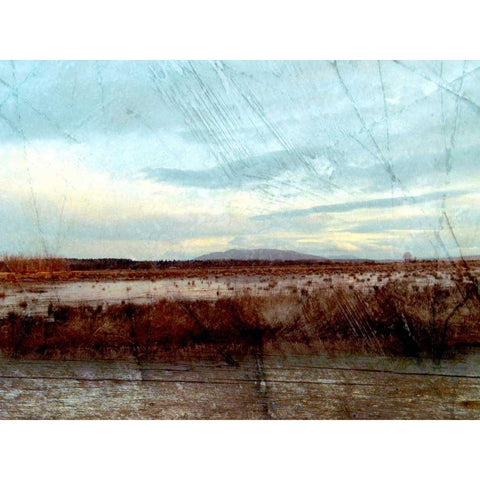 Morning Calm II White Modern Wood Framed Art Print by Harrington, Danielle