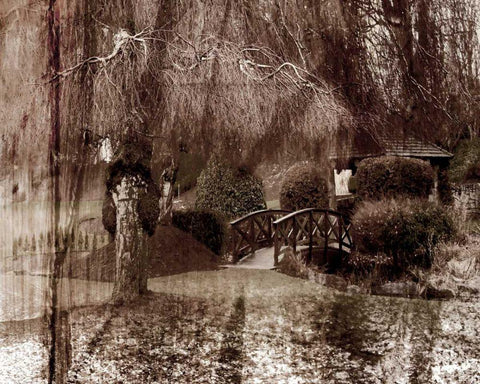 Constant I Black Ornate Wood Framed Art Print with Double Matting by Harrington, Danielle