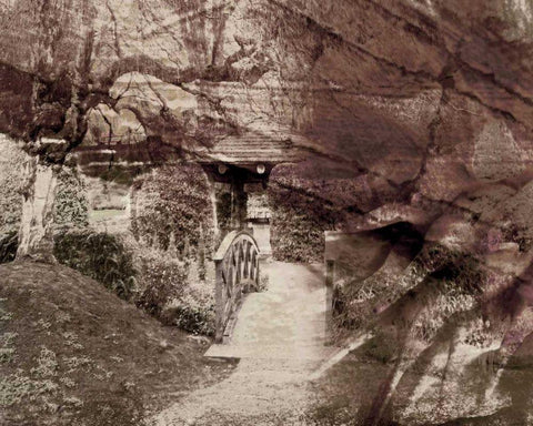 Constant II Black Ornate Wood Framed Art Print with Double Matting by Harrington, Danielle