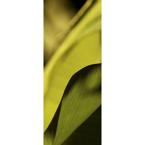 Leaf Detail I Gold Ornate Wood Framed Art Print with Double Matting by Ling, Tang