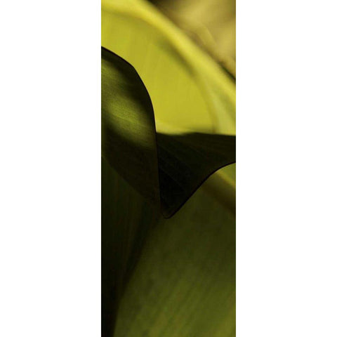 Leaf Detail II Gold Ornate Wood Framed Art Print with Double Matting by Ling, Tang