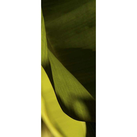 Leaf Detail III Gold Ornate Wood Framed Art Print with Double Matting by Ling, Tang