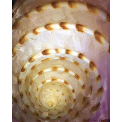 Shell Extraction I Black Modern Wood Framed Art Print by Henry, Lola