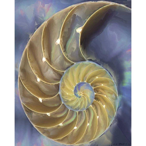 Shell Extraction II White Modern Wood Framed Art Print by Henry, Lola