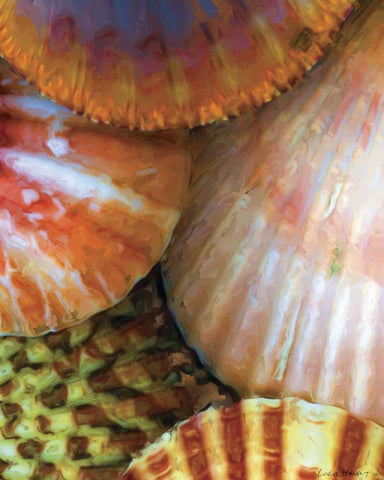 Shell Extraction III Black Ornate Wood Framed Art Print with Double Matting by Henry, Lola