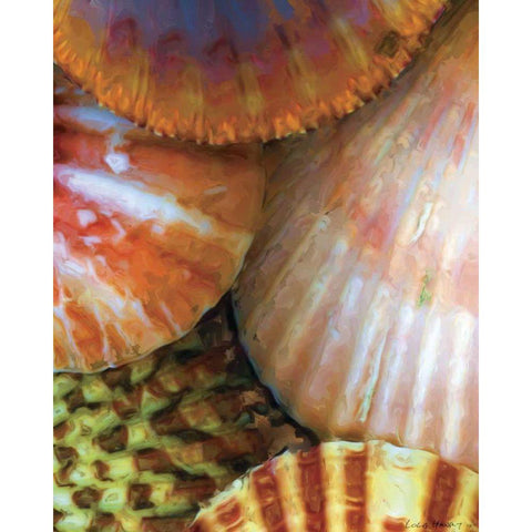 Shell Extraction III Black Modern Wood Framed Art Print by Henry, Lola