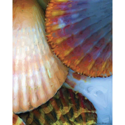 Shell Extraction IV White Modern Wood Framed Art Print by Henry, Lola