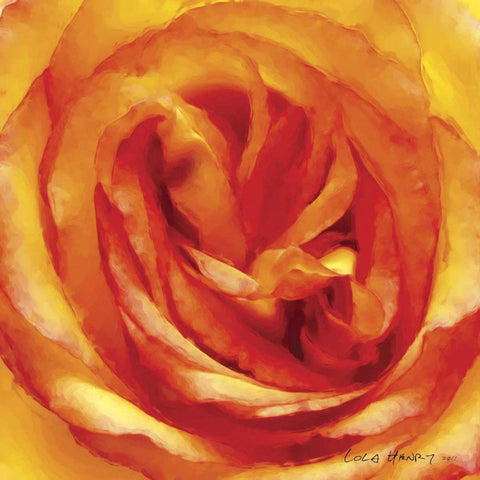 Painterly Flower I Black Modern Wood Framed Art Print with Double Matting by Henry, Lola