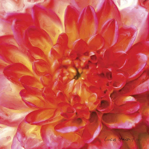 Painterly Flower II Black Modern Wood Framed Art Print with Double Matting by Henry, Lola