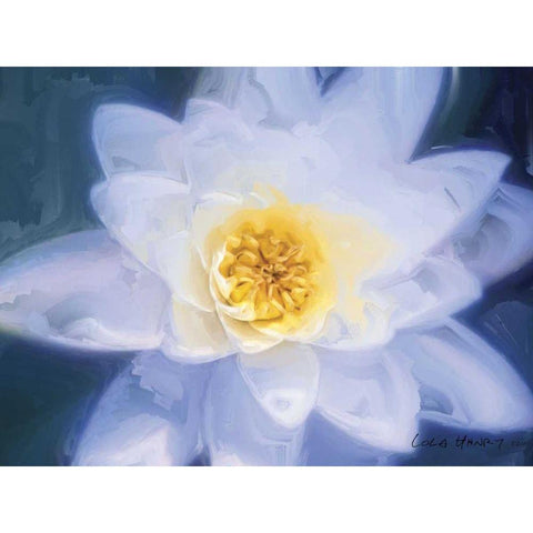 Painterly Flower III White Modern Wood Framed Art Print by Henry, Lola
