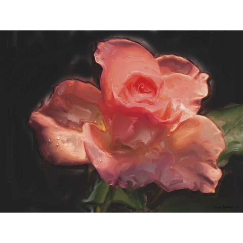 Painterly Flower IV Black Modern Wood Framed Art Print by Henry, Lola
