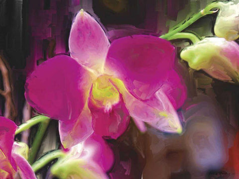 Painterly Flower V White Modern Wood Framed Art Print with Double Matting by Henry, Lola