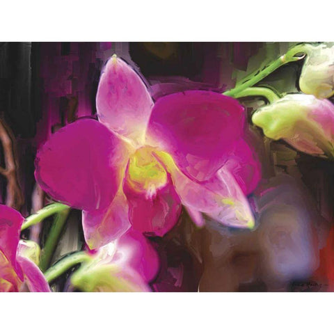 Painterly Flower V Black Modern Wood Framed Art Print by Henry, Lola