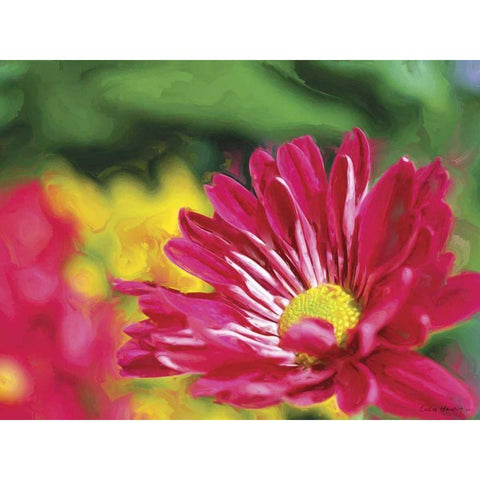 Painterly Flower VI Black Modern Wood Framed Art Print with Double Matting by Henry, Lola