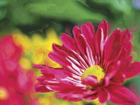 Painterly Flower VI White Modern Wood Framed Art Print with Double Matting by Henry, Lola
