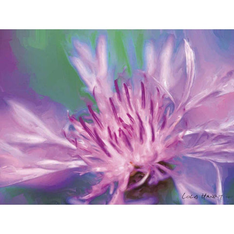 Painterly Flower VIII Gold Ornate Wood Framed Art Print with Double Matting by Henry, Lola