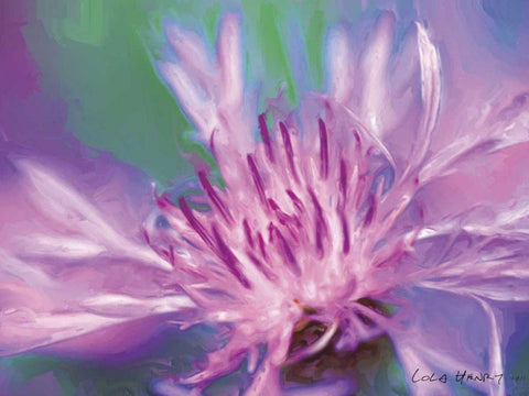 Painterly Flower VIII Black Ornate Wood Framed Art Print with Double Matting by Henry, Lola