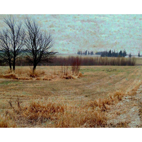 Fields I Black Modern Wood Framed Art Print with Double Matting by Harrington, Danielle
