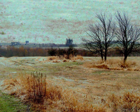 Fields II Black Ornate Wood Framed Art Print with Double Matting by Harrington, Danielle