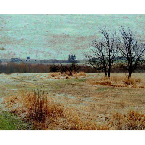 Fields II Black Modern Wood Framed Art Print by Harrington, Danielle