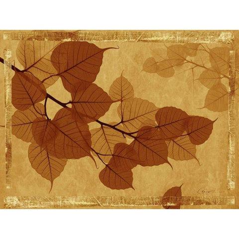 Ghost Leaves I White Modern Wood Framed Art Print by Bay, Noah