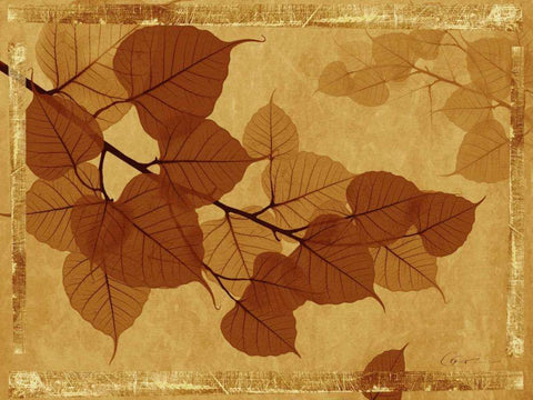 Ghost Leaves I White Modern Wood Framed Art Print with Double Matting by Bay, Noah