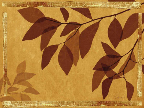 Ghost Leaves II Black Ornate Wood Framed Art Print with Double Matting by Bay, Noah