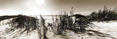 The Wind in the Dunes I White Modern Wood Framed Art Print with Double Matting by Bay, Noah